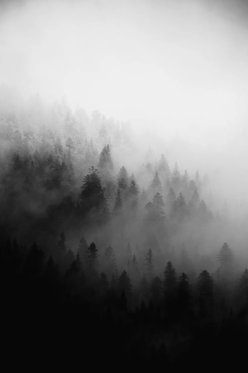 Paysage alpin — Florian Sautier